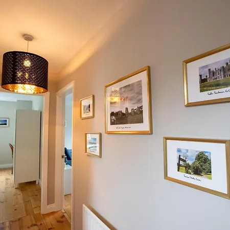 Drumbo キャヴァン