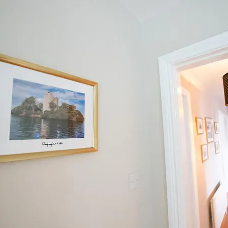 Drumbo * キャヴァン