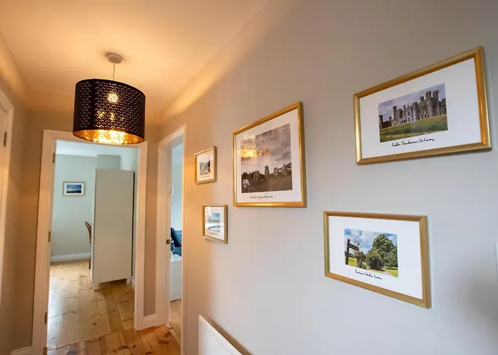 Drumbo キャヴァン