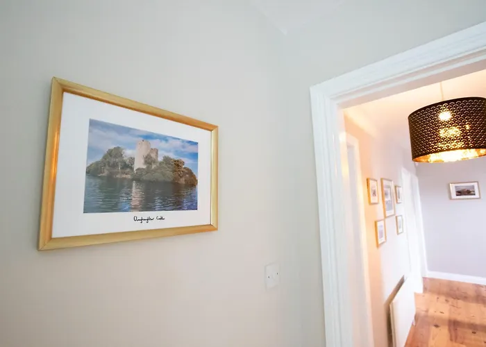 Drumbo * キャヴァン